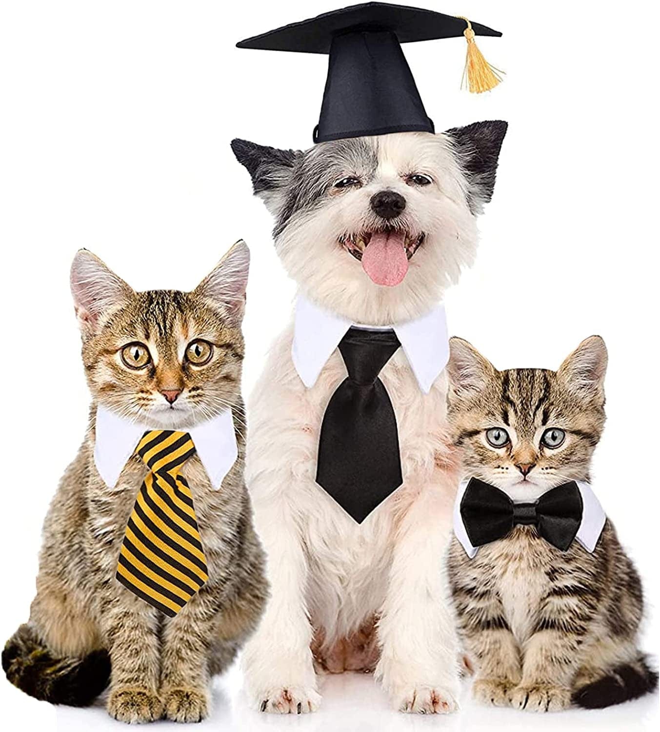 Dog Graduation Cap and Gown, Cat Graduation Cap and Gown, Pet Graduation Cap  and Gown, Same Price Any Size. Your Choice of Color. - Etsy